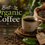 Best Organic Coffee 2026