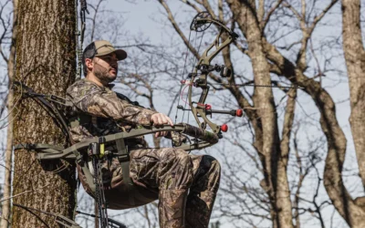 Elevated Deer Stands for Every Tree, Field Edge, and Budget