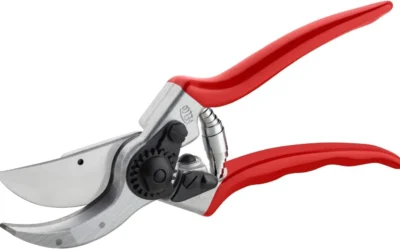 Top-Rated Bypass Pruners for Every Rose, Shrub, and Fruit Tree