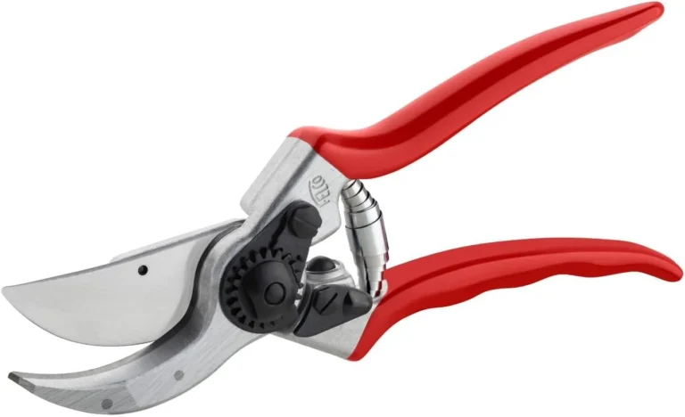 Top-Rated Bypass Pruners for Every Rose, Shrub, and Fruit Tree