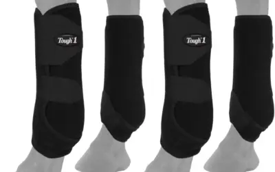 Horse Boots for Jumping Ranked by Impact Protection, Fit, and Breathability