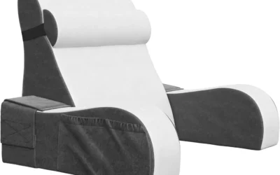 Reading Pillows with Arms Ranked by Support, Fill, and Comfort