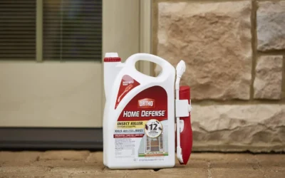 Indoor, Perimeter, and Plant-Based Sprays Compared for Every Pest Problem