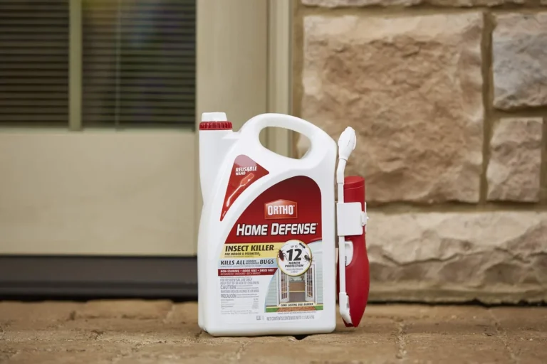 Indoor, Perimeter, and Plant-Based Sprays Compared for Every Pest Problem