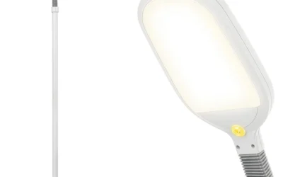 LED Floor Lamps Ranked by Brightness, Adjustability, and Build Quality