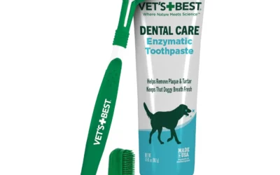 Dog Dental Care for Plaque Control Between Vet Visits