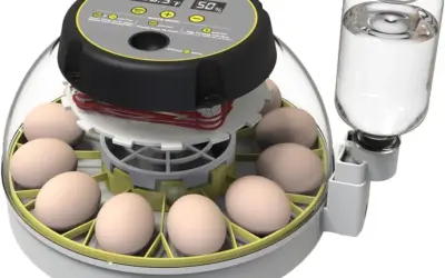Incubators for Hatching Eggs Ranked by Climate Control, Turning, and Capacity