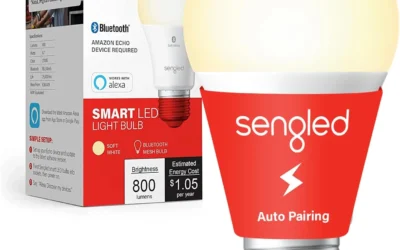 Bulbs That Pair With an Echo Without a Second App
