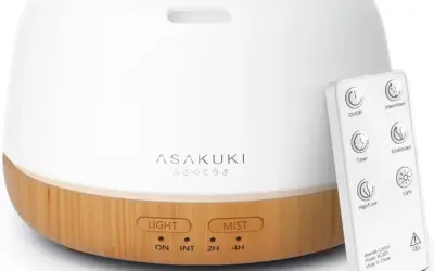 Top Aromatherapy Diffusers and Humidifiers for Soothing Moisture at Home