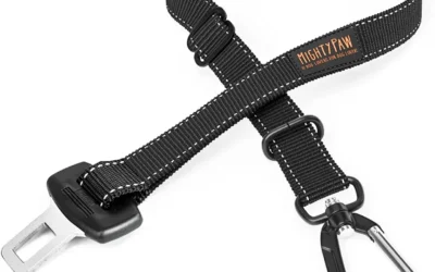 Car Restraints That Actually Keep Your Dog in the Back Seat