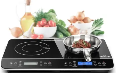 Top Portable Double Burner Induction Cooktops for Kitchens and RVs