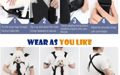 Dog Backpack Carriers Ranked by Safety, Airflow, and Comfort