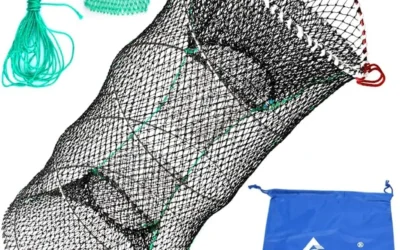 Crab Traps Ranked by Durability, Mesh Size, and Portability