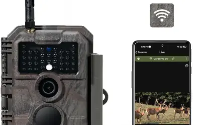 Night Vision Wildlife Cameras Ranked by Flash Stealth, Resolution, and Battery Autonomy