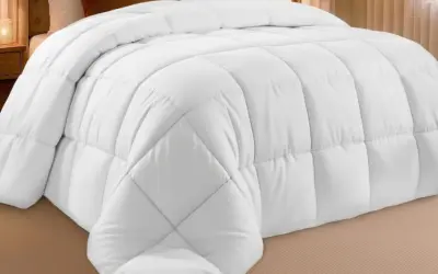 All Weather Down Comforters Ranked by Loft, Warmth, and Breathability