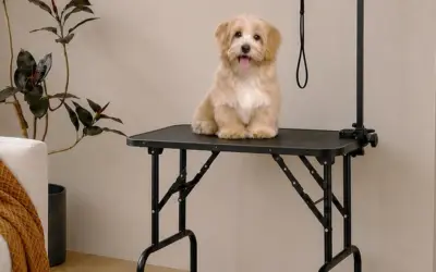 Pet Grooming Tables Ranked by Stability, Traction, and Adjustability