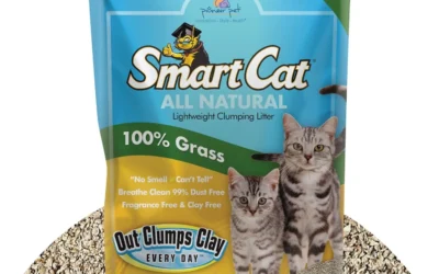 Plant-Based Litters for Cats That Hate Clay Dust
