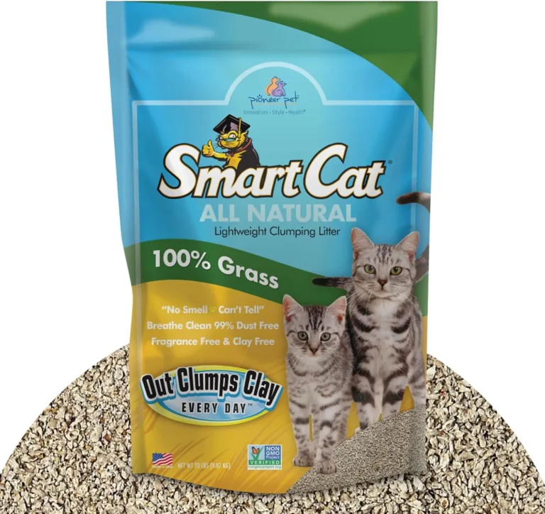 Plant-Based Litters for Cats That Hate Clay Dust