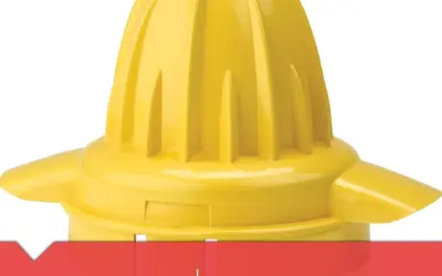 Electric Citrus Juicers for Every Kitchen and Morning Routine