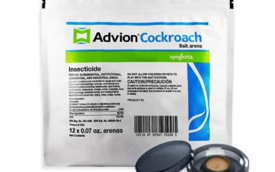 Roach Killers for Every Room, Every Nest, and Every Budget