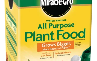 Nitrogen Grows Leaves, Phosphorus Grows the Crop