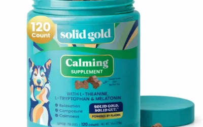 Supplements That Take the Edge Off Storms, Fireworks and Car Rides