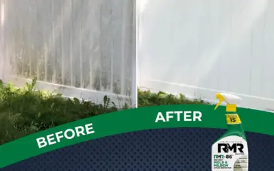 Top Black Mold Removers That Actually Eradicate Stubborn Stains