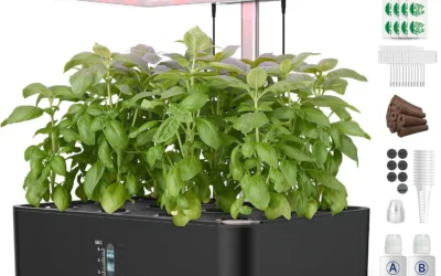 Fresh Herbs Year-Round: Systems Compared by Pods, Height, and Cost