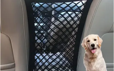 Car Pet Barriers Ranked by Durability, Vehicle Fit, and Safety