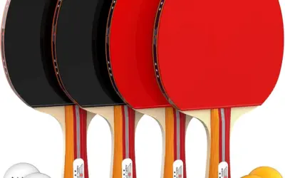 Table Tennis Bats for Beginners Ranked by Control, Grip, and Durability