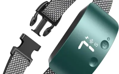 Top Dog Bark Shock Collars Ranked by Safety and Adjustability