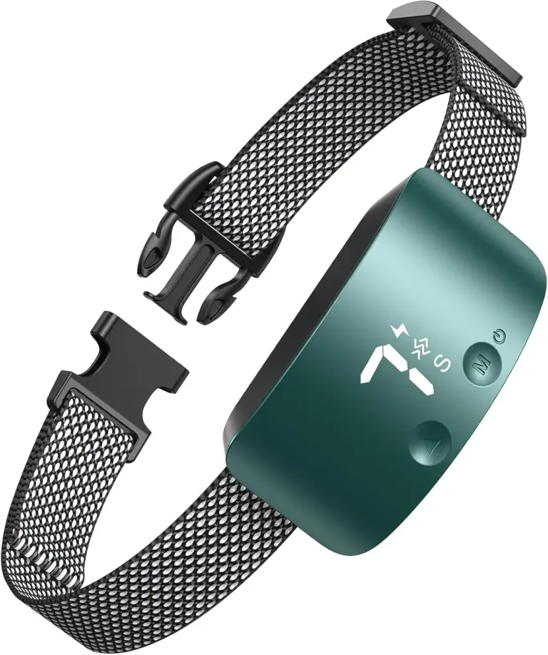 Top Dog Bark Shock Collars Ranked by Safety and Adjustability