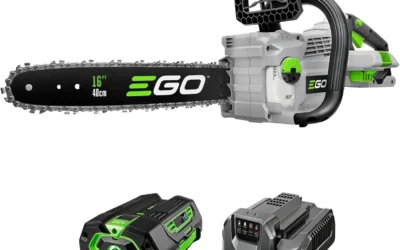 Chain Saws Ranked for Power, Safety, and Ease of Use