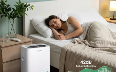Certified Efficient Dehumidifiers for Every Basement, Bedroom, and Closet