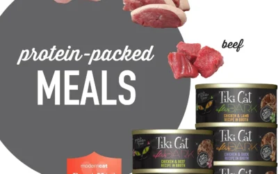 Protein-Packed Pates and Shreds That Feed Your Cat Like a Carnivore