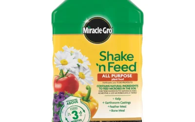 Nutrient Longevity, Formula Type, and Soil Health Slow Release Fertilizers Ranked