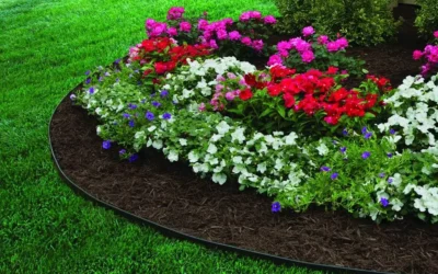 Borders That Hold: Plastic Coil, Steel, and Paver Restraint Compared