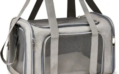 Cat Crates for Car Travel Ranked by Safety, Airflow, and Comfort
