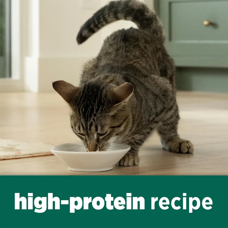 Kibble, Pate, and Variety Packs for Kittens Through Senior Cats