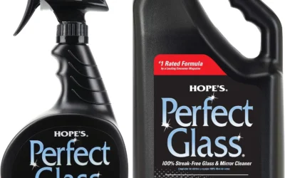 Top-Rated Window Cleaners for Ground Floor Panes and Second-Story Glass
