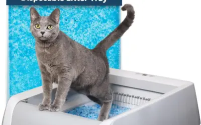 Automatic Litter Boxes Ranked by Safety, Capacity, and Odor Control