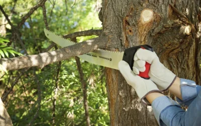 Pruning Saws Ranked for Reach, Grip, and Clean Cuts