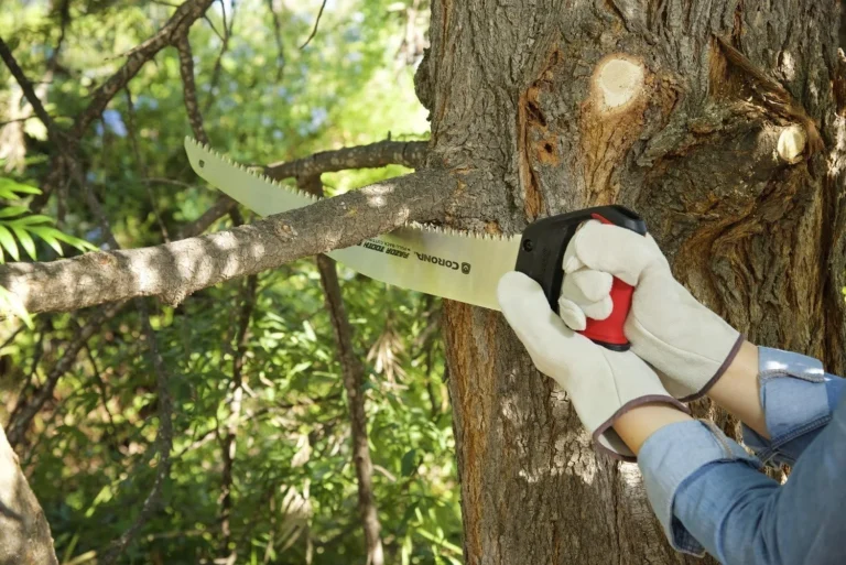 Pruning Saws Ranked for Reach, Grip, and Clean Cuts