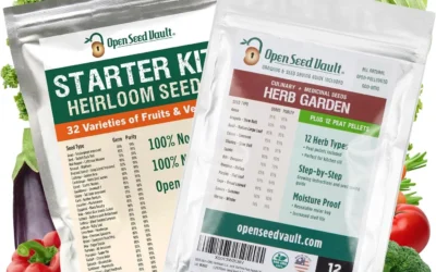 Seed Kits That Actually Deliver a Full Non-GMO Harvest