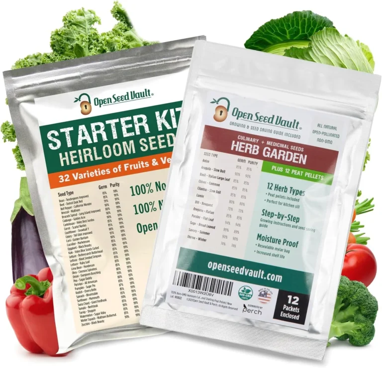 Seed Kits That Actually Deliver a Full Non-GMO Harvest