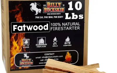 Outdoor Fire Pit Woods Ranked by Burn Time, Smoke, and Ignition