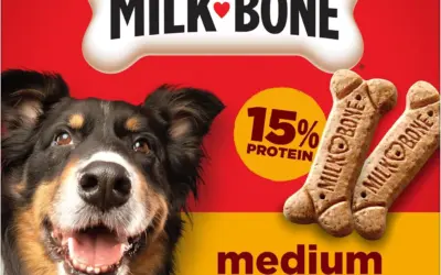 Edible Dog Bones Ranked by Durability, Digestibility, and Dental Care