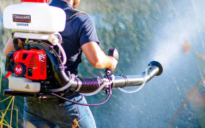 Gas, Battery, and ULV Backpack Machines Compared for Big Yards
