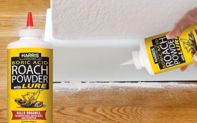 Roach Dusts and Tablets That Actually Reach Where Roaches Hide
