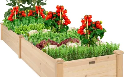 Top Organic Wood Raised Garden Beds Ranked by Durability, Safety, and Design